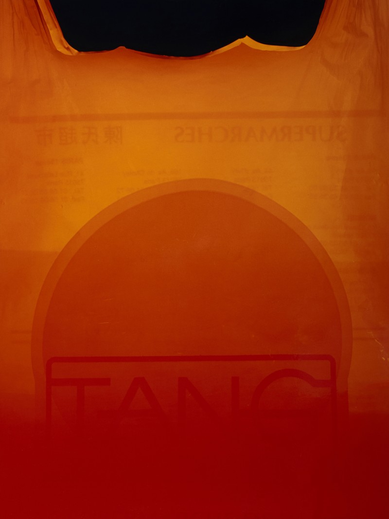 Pierre Seiter, Tang rise, 2018, 51 x 44 cm