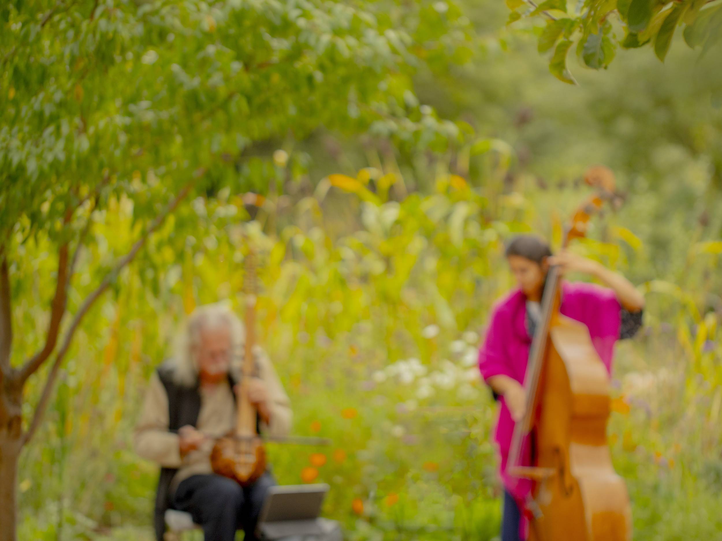 Image de fond - La Symphonie